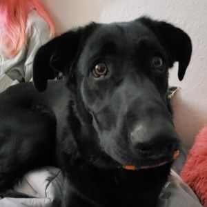 Meet your Posher, Linda